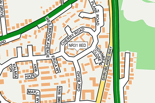 NR31 8ED map - OS OpenMap – Local (Ordnance Survey)