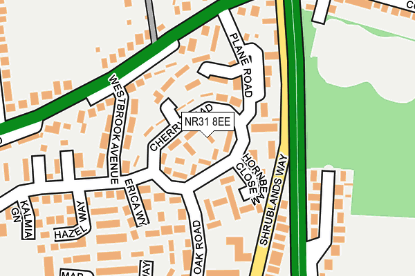 NR31 8EE map - OS OpenMap – Local (Ordnance Survey)