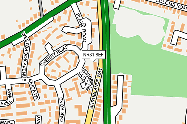NR31 8EF map - OS OpenMap – Local (Ordnance Survey)