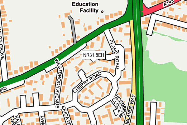 NR31 8EH map - OS OpenMap – Local (Ordnance Survey)