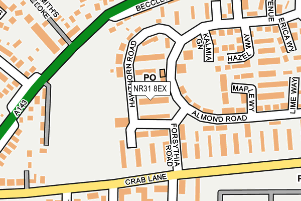 NR31 8EX map - OS OpenMap – Local (Ordnance Survey)