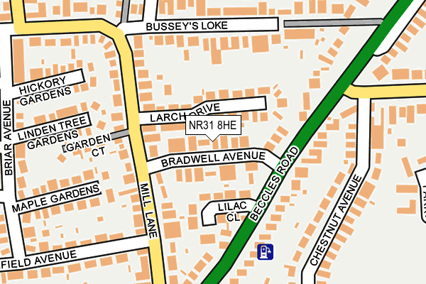 NR31 8HE map - OS OpenMap – Local (Ordnance Survey)