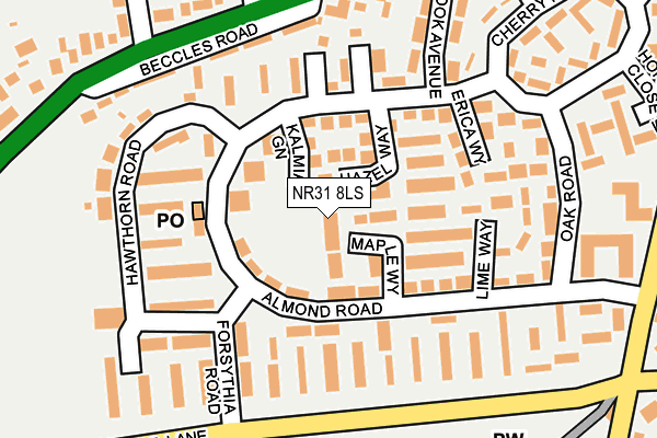 NR31 8LS map - OS OpenMap – Local (Ordnance Survey)
