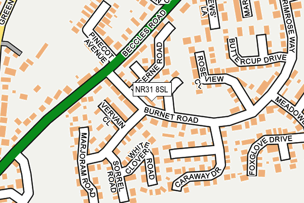 NR31 8SL map - OS OpenMap – Local (Ordnance Survey)