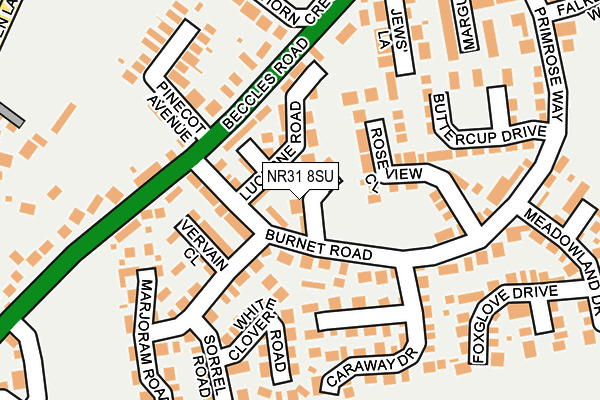 NR31 8SU map - OS OpenMap – Local (Ordnance Survey)
