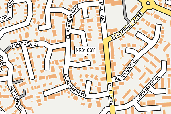 NR31 8SY map - OS OpenMap – Local (Ordnance Survey)