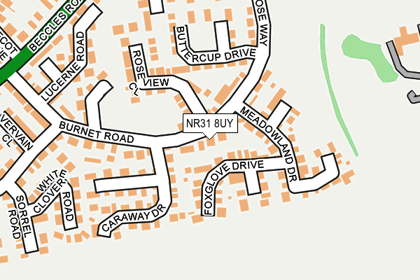 NR31 8UY map - OS OpenMap – Local (Ordnance Survey)
