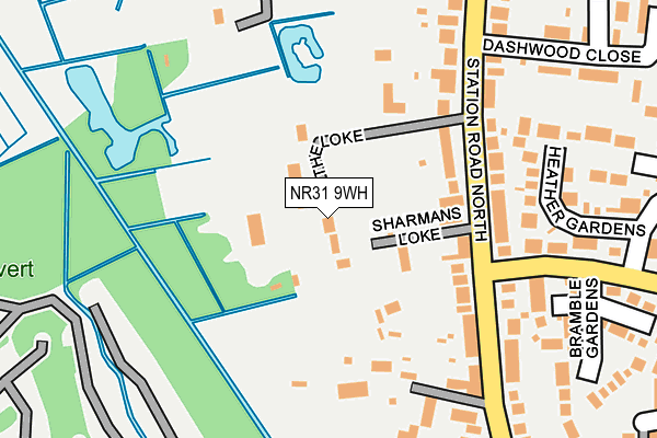 NR31 9WH map - OS OpenMap – Local (Ordnance Survey)