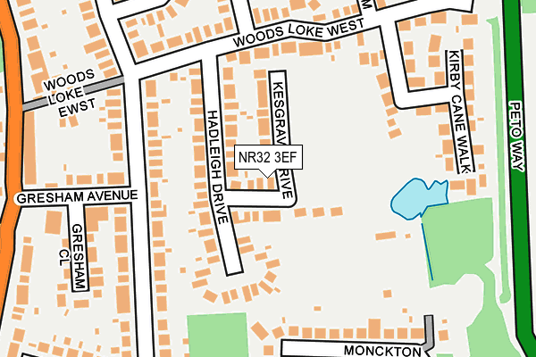 NR32 3EF map - OS OpenMap – Local (Ordnance Survey)