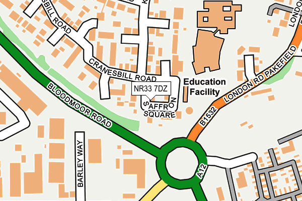 NR33 7DZ map - OS OpenMap – Local (Ordnance Survey)