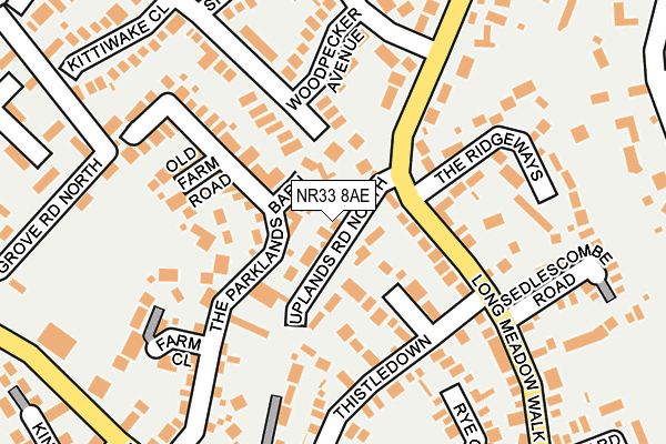 NR33 8AE map - OS OpenMap – Local (Ordnance Survey)