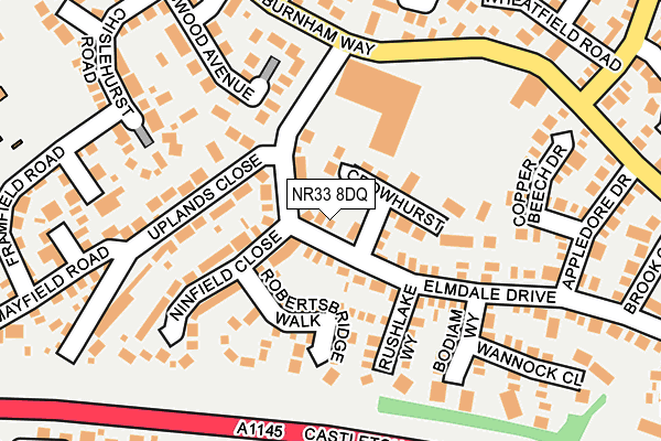 NR33 8DQ map - OS OpenMap – Local (Ordnance Survey)