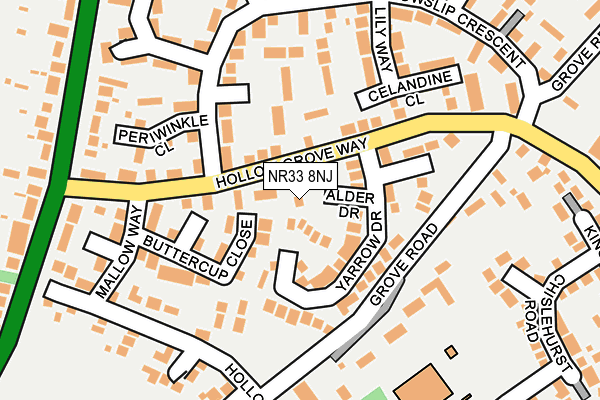 NR33 8NJ map - OS OpenMap – Local (Ordnance Survey)