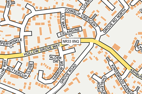 NR33 8NQ map - OS OpenMap – Local (Ordnance Survey)