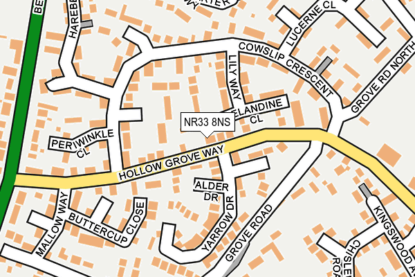 NR33 8NS map - OS OpenMap – Local (Ordnance Survey)
