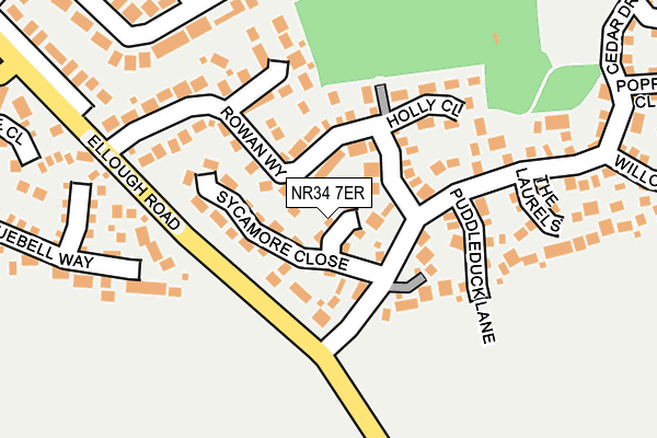 NR34 7ER map - OS OpenMap – Local (Ordnance Survey)