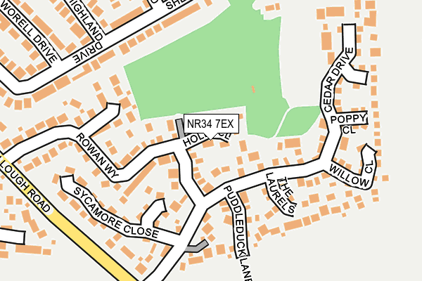 NR34 7EX map - OS OpenMap – Local (Ordnance Survey)
