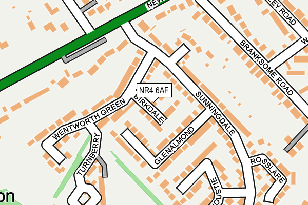 NR4 6AF map - OS OpenMap – Local (Ordnance Survey)