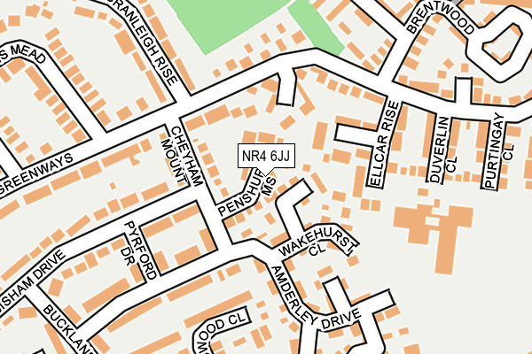 NR4 6JJ map - OS OpenMap – Local (Ordnance Survey)