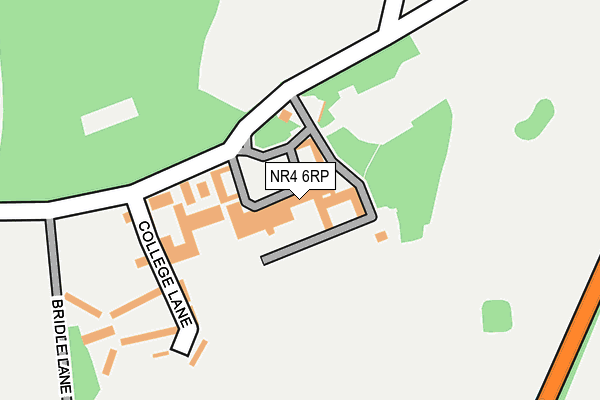 NR4 6RP map - OS OpenMap – Local (Ordnance Survey)