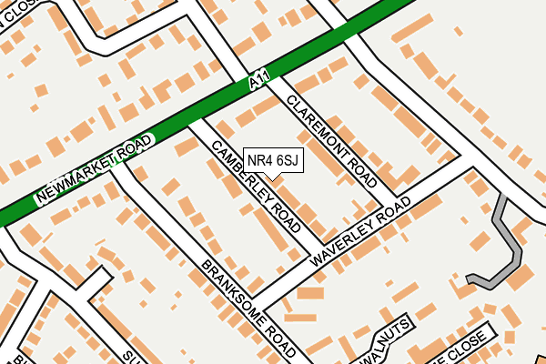 NR4 6SJ map - OS OpenMap – Local (Ordnance Survey)