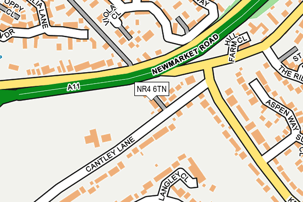 NR4 6TN map - OS OpenMap – Local (Ordnance Survey)