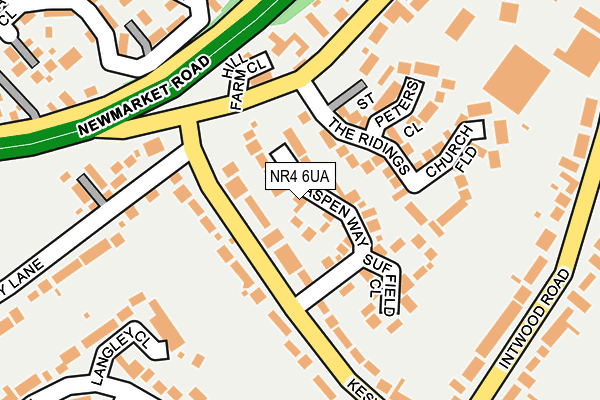 NR4 6UA map - OS OpenMap – Local (Ordnance Survey)