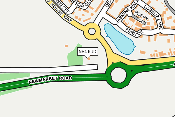 NR4 6UD map - OS OpenMap – Local (Ordnance Survey)