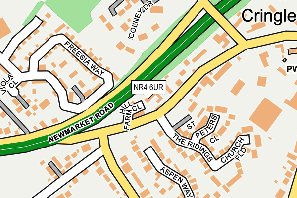 NR4 6UR map - OS OpenMap – Local (Ordnance Survey)