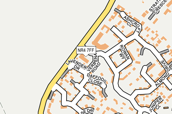 NR4 7FF map - OS OpenMap – Local (Ordnance Survey)