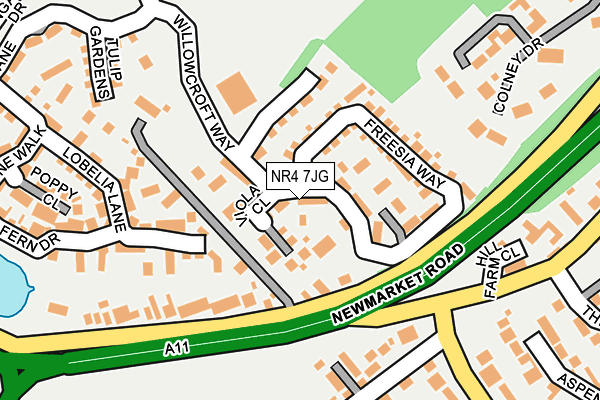NR4 7JG map - OS OpenMap – Local (Ordnance Survey)