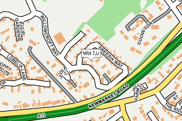 NR4 7JJ map - OS OpenMap – Local (Ordnance Survey)