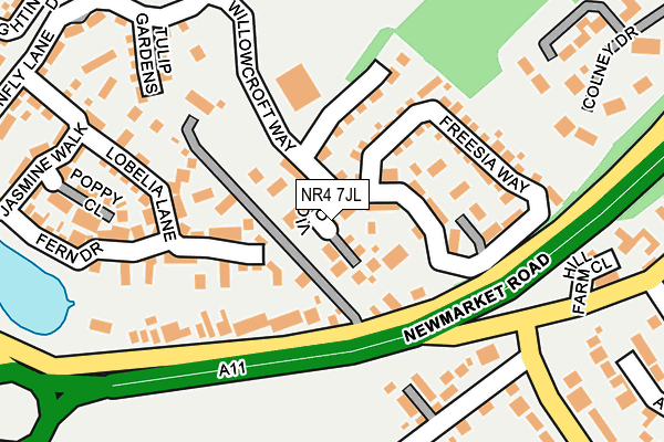 NR4 7JL map - OS OpenMap – Local (Ordnance Survey)