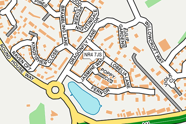 NR4 7JS map - OS OpenMap – Local (Ordnance Survey)