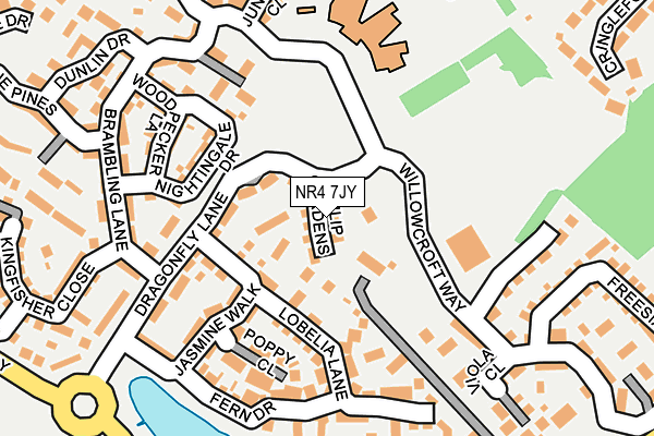 NR4 7JY map - OS OpenMap – Local (Ordnance Survey)