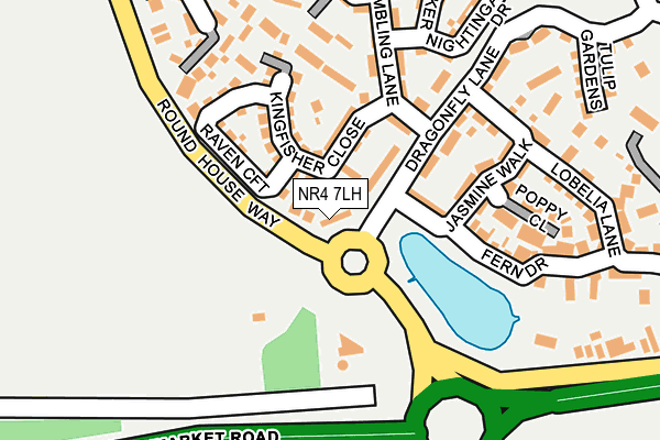 NR4 7LH map - OS OpenMap – Local (Ordnance Survey)