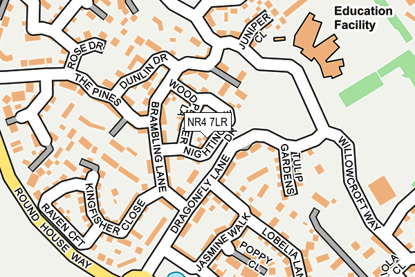 NR4 7LR map - OS OpenMap – Local (Ordnance Survey)