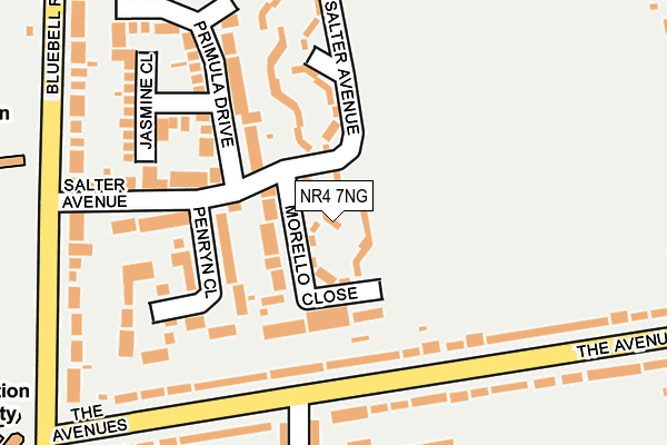 NR4 7NG map - OS OpenMap – Local (Ordnance Survey)