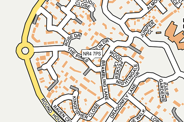 NR4 7PS map - OS OpenMap – Local (Ordnance Survey)