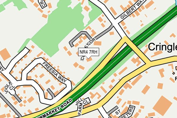 NR4 7RH map - OS OpenMap – Local (Ordnance Survey)