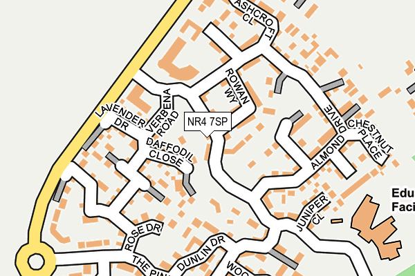NR4 7SP map - OS OpenMap – Local (Ordnance Survey)