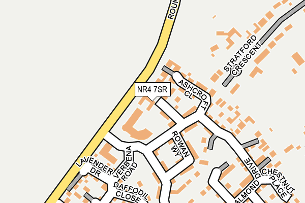 NR4 7SR map - OS OpenMap – Local (Ordnance Survey)