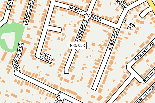 NR5 0LR map - OS OpenMap – Local (Ordnance Survey)
