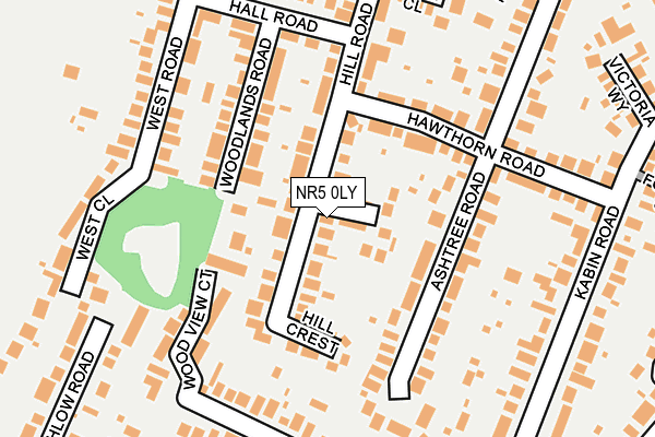 NR5 0LY map - OS OpenMap – Local (Ordnance Survey)