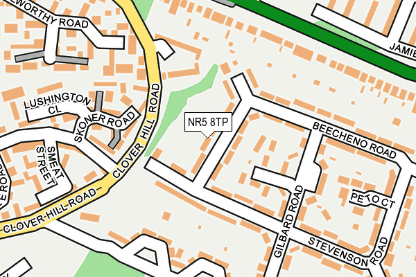 NR5 8TP map - OS OpenMap – Local (Ordnance Survey)