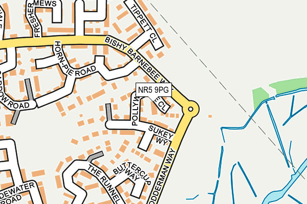 NR5 9PG map - OS OpenMap – Local (Ordnance Survey)