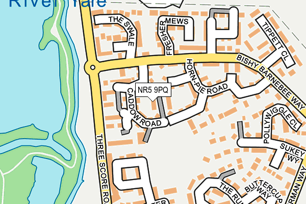 NR5 9PQ map - OS OpenMap – Local (Ordnance Survey)