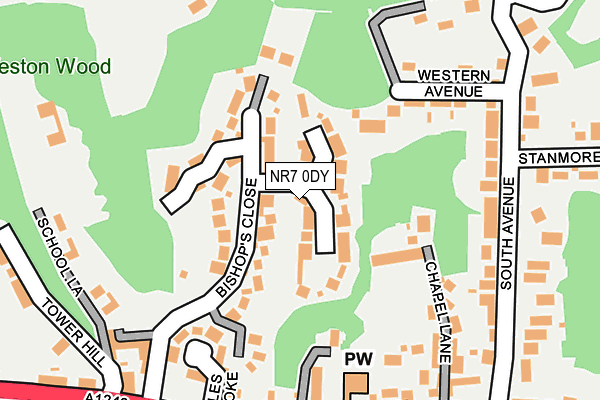 NR7 0DY map - OS OpenMap – Local (Ordnance Survey)