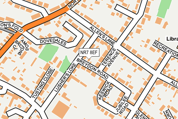 NR7 8EF map - OS OpenMap – Local (Ordnance Survey)
