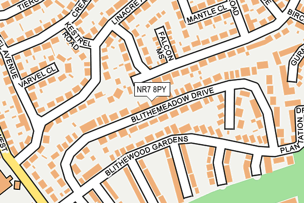 NR7 8PY map - OS OpenMap – Local (Ordnance Survey)